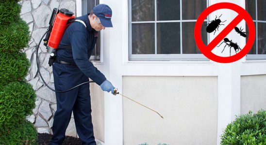 Boyabat Böcek ve Haşere İlaçlama böcek ilaçlama ve haşere kontrolü — ilaclama-tr.com